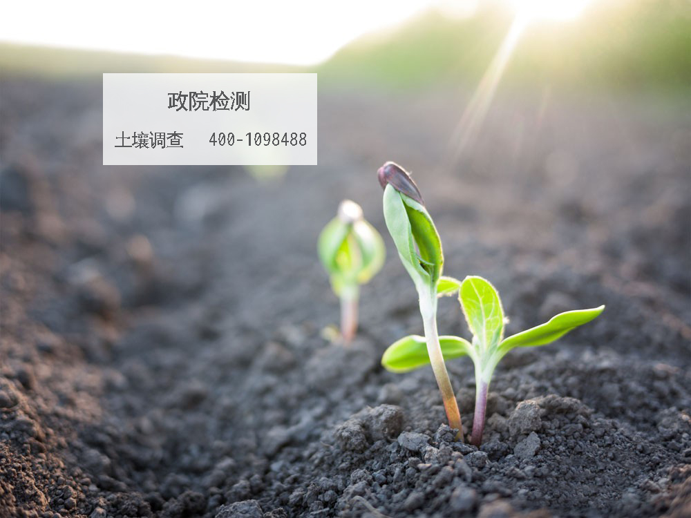 ���������{��