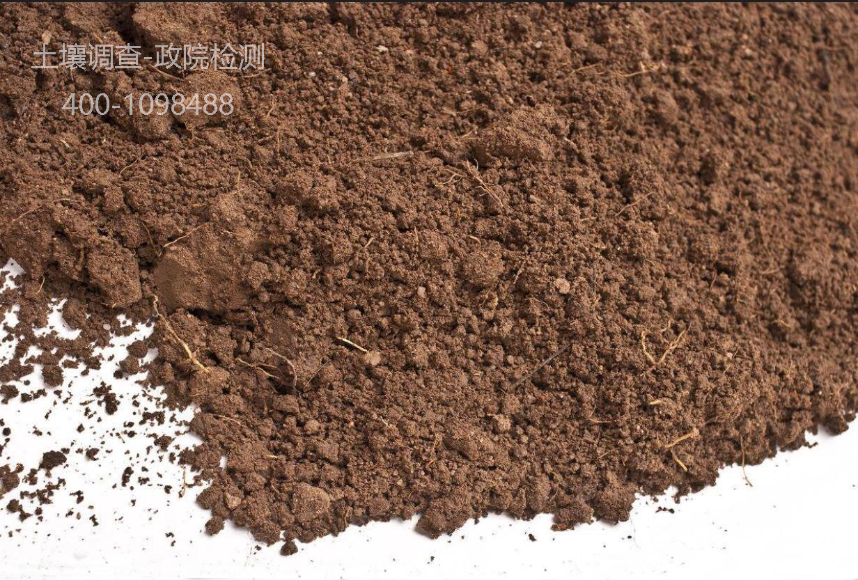 �����{(di��o)��