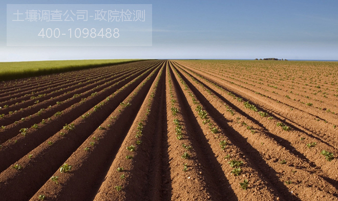 �����{��