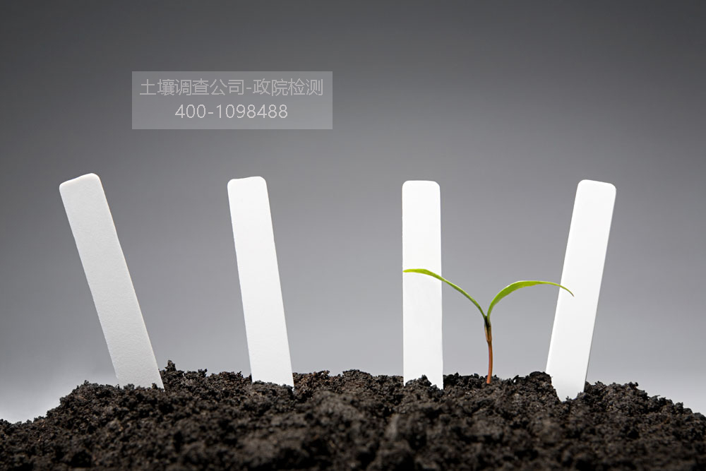 �����{��